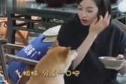 娱乐吃瓜酱的视频哪里搬,揭秘热门视频幕后制作过程