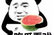 吃瓜表情包代表什么,网络时代的社交符号与舆论风向标